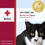 The Red Cross The Red Cross